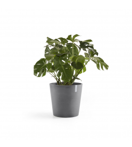 AMSTERDAM 50 GREY AMSTERDAM 50 GREY