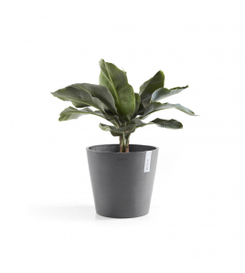 AMSTERDAM 40 GREY AMSTERDAM 40 GREY