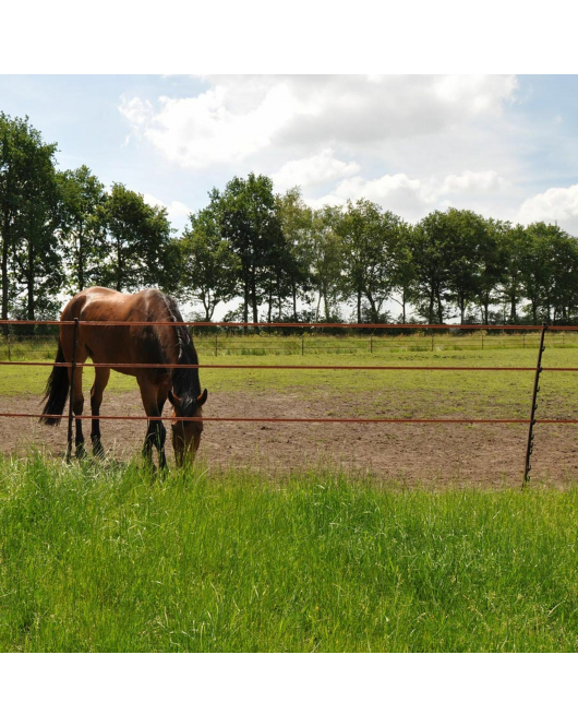 STIJGBEUGELPAAL 1,55M TERRA (5)