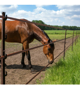STIJGBEUGELPAAL 1,55M TERRA (5)