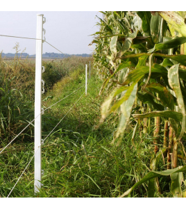 VARIO PAAL 1,00M WIT (10)