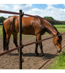 TURBOLINE LINT 20MM TERRA 200M