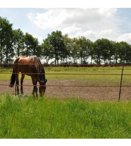 TURBOLINE LINT 20MM TERRA 200M