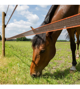 TURBOSTAR LINT 40MM TERRA 100M