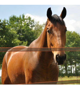 TURBOSTAR LINT 40MM TERRA 100M