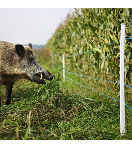 DUOPACK TURBOLINE KUNSTSTOFDRAAD BLAUW 2X400M