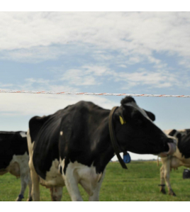 DUOPACK VIDOFLEX 9 TURBOLINE PLUS WIT 2X200M ACTIEPRIJS!