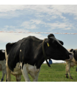 DUOPACK VIDOFLEX 9 TURBOLINE PLUS WIT 2X200M ACTIEPRIJS!