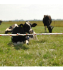 DUOPACK VIDOFLEX 9 TURBOLINE PLUS WIT 2X400M