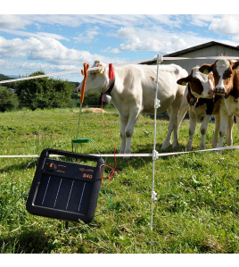 GALLAGHER S40 SOLAR SCHRIKDRAADAPPARAAT INCLUSIEF BATTERIJ (6 V - 10 AH)