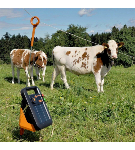 GALLAGHER S20 SOLAR SCHRIKDRAADAPPARAAT INCL. BATTERIJ (6 V - 4 AH)