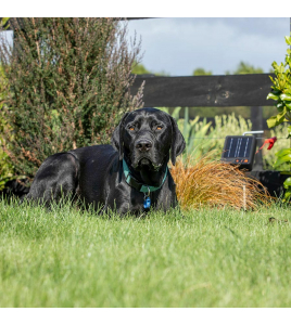 GALLAGHER S6 SOLAR SCHRIKDRAADAPPARAAT INCL. LITHIUM BATTERIJ (3.2 V - 6 AH)