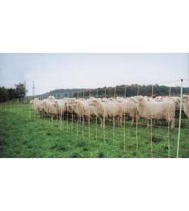 EURO-NET UNIVERSEEL 80 CM ENKELPUNT 20 M EURO-NET UNIVERSEEL 80 CM ENKELPUNT 20 M