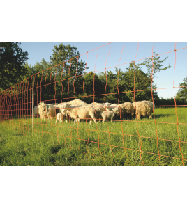 EURO-NET UNIVERSEEL 80 CM ENKELPUNT 20 M EURO-NET UNIVERSEEL 80 CM ENKELPUNT 20 M