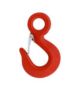 LASTHAAK MET OOG/KLEP 3000KG