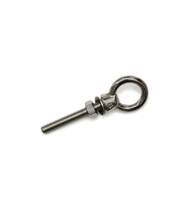 OOGBOUT 06X060MM RVS 1 ST. OP KAART