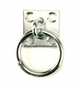 MUURPLAAT MET RING, 8MM, VERZINKT