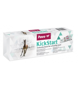 PAVO KICKSTART PAVO KICKSTART