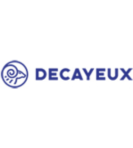 DECAYEUX BRIEVENBUS D101 INOX RVS ZILVER