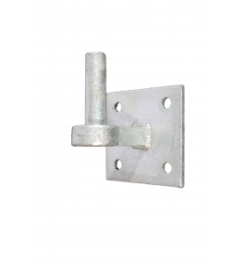 DUIM ROND19MM OP PLAAT 10X10 FV