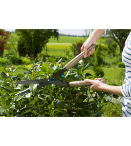 NATURECUT HEGGENSCHAAR FSC 100%