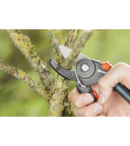 COMFORT AAMBEELD SNOEISCHAAR COMFORT AAMBEELD SNOEISCHAAR