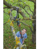 CS-BOOMSCHAAR