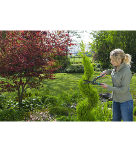 PRECISIONCUT BUXUSSCHAAR PRECISIONCUT BUXUSSCHAAR