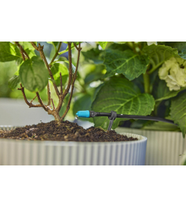 REGELBARE DRUPPELAAR