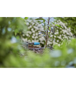 REGELBARE DRUPPELAAR