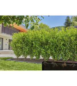 DRUPPELBUIS ONDER&amp;BOVENGRONDS 50M