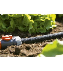 DUIZENDDRUPPELSL.15 M