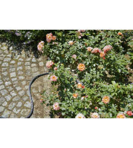 TEXTIELSLANG LIANO 20M SET PROMO TEXTIELSLANG LIANO 20M SET PROMO