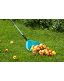 CS-MULTIHARK ASSORTIMENT FSC 100%
