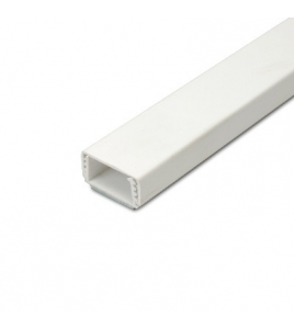 2MTR.LEIDINGLIJSTKLIK 20X10+PLAK WT