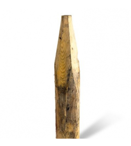 KASTANJE PAAL GEPUNT 160X10/12