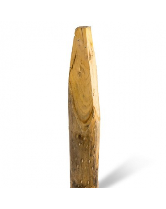 KASTANJE PAAL GEPUNT 200X8/10