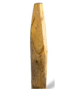 KASTANJE PAAL GEPUNT 300X8/10