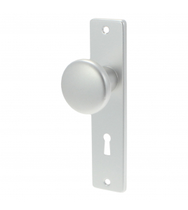 AMI KASTKNOPSCH SL56 ALU F1 312112