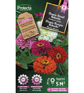 ZINNIA REUZEN ROBUSTA ZINNIA REUZEN ROBUSTA