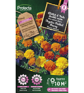 TAGETES DUBBEL DWERG GEMENGD TAGETES DUBBEL DWERG GEMENGD