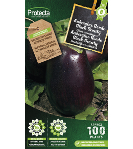 AUBERGINE RONDE BLACK BEAUTY