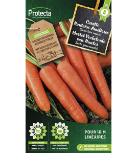 WORTEL VERBETERDE VAN NANTES 3