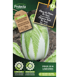 CHINESE KOOL PE-TSAI