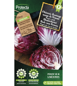 BLADCICHOREI RODE VAN VERONA