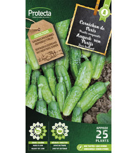 AUGURK KLEINE GROENE VAN PARIJS