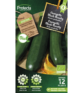 COURGETTE BLACK BEAUTY FR-BIO-15