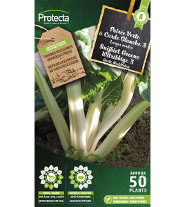 SNIJBIET GROENE WITRIBBIGE 3