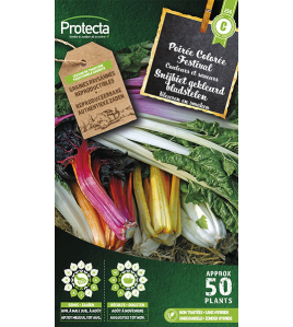 SNIJBIET MET GEKLEURD BLADSTELEN