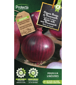 AJUIN RODE VAN BRUNSWICK